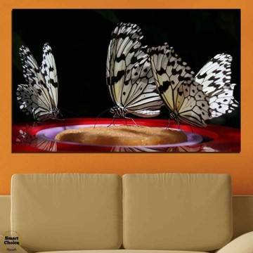 Картина пано за стена от 1 част с черно-бели пеперуди – HD-302-1