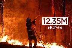 Пожарите в Австралия създават собствени климатични системи