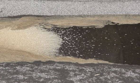 Големи кафяви петна се появиха във водите на река Искър