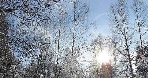 Днес слънчево с максимални температури между 2° и 7°