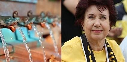 В Австрия осъдиха кмет за водна криза. В Перник бившият кмет е на свобода!