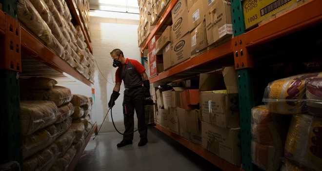 Дезинфекция, дезинсекция и дератизация