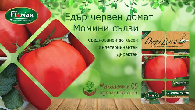Профи семена Домати Момини сълзи Флориан