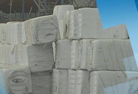 Зам.-министър е дал съгласие за превоз на 25 000 тона отпадъци от Италия