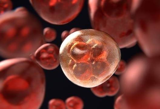 Учени откриха нова клетка, която може да помогне в борбата с рака