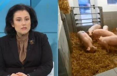 Десислава Танева: Положителни проби за чума при диви свине има в 26 области