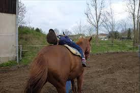 Хипотерапия – Ezda Sofia