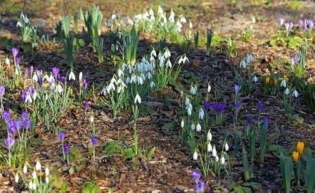 До 22 градуса ни очакват през февруари, валежите ще бъдат под нормата