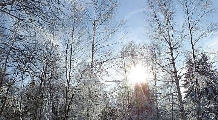 Днес слънчево с максимални температури между 13° и 18°