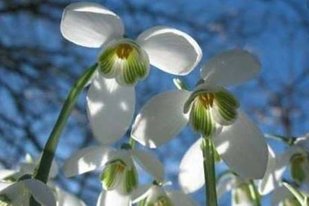 И днес слънчево с максимални температури между 15° и 20°