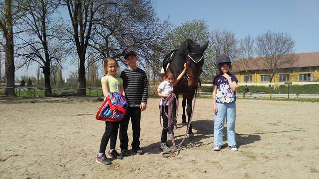 Занималня с конна езда пролетна ваканция 2020