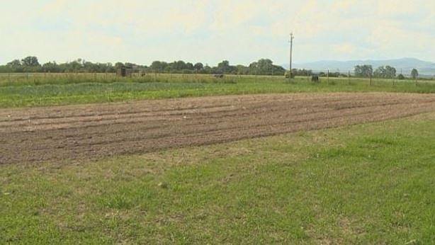 Близо 3 млрд. лева ще получат земеделците като помощ през 2020 година