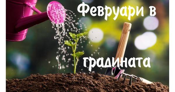 Грижа за градината през Февруари