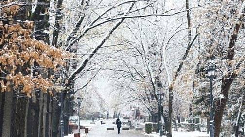 Днес облачно и ветровито с максимални температури между 2° и 7°
