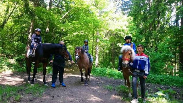 Разходка с кон