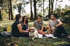 Тъжно, но истина: Мъжете глезят повече кучето от жена си