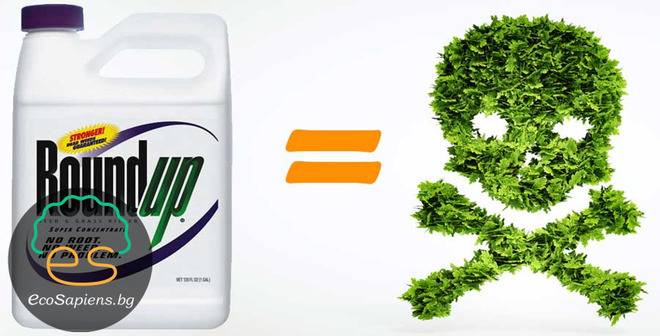 Защо е вредно използването на хербицида Раундъп (Roundup)?