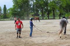 Курсове по езда