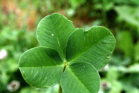 Окончателно: Спират частните лотарии