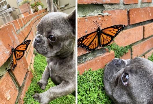 Усмивки запечатани на снимки