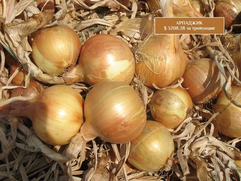 Разкрит е крадецът на арпаджик от село Тополица (видео от ФБР)