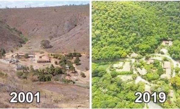 Семейство доказа, че гора може да се възстанови за 20 години, след като засади 2 700 000 дървета!