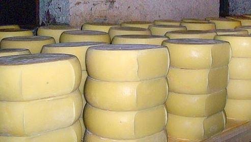 БАБХ установи кашкавал, произведен в неработещо предприятие