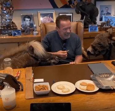 Арнолд Шварценегер и неговите домашни животни (видео)