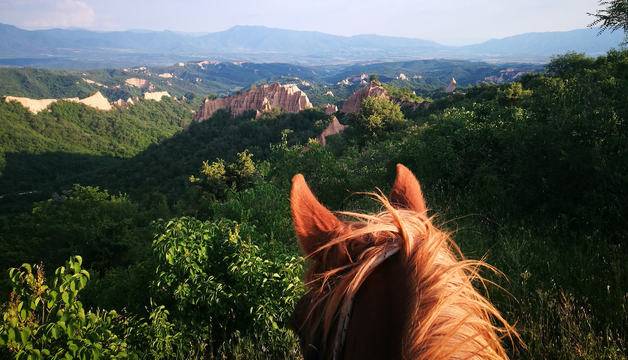 Клуб по конен спорт „Тангра“