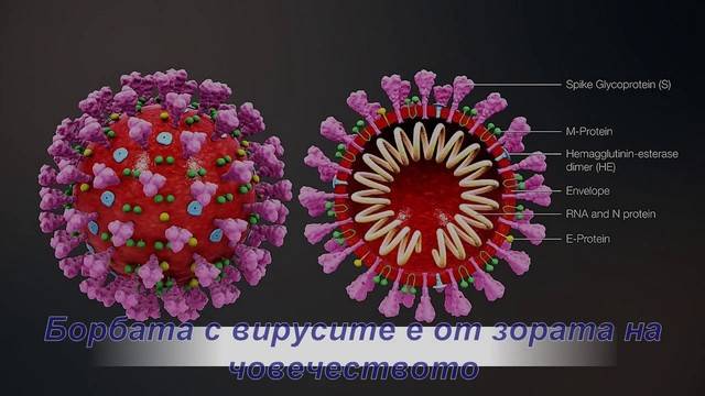 Лечение от Вируси – Коронавирус 19 ,COVID-19