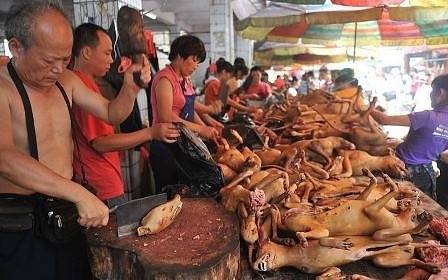 Изследване: Новият коронавирус има естествен произход, а не е изкуствено разработен в лаборатория