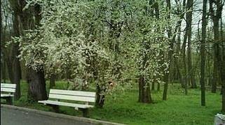 Затварят за събиране паркове, спортни и детски площадки