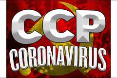 Правилното име на вируса причинил глобална пандемия