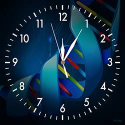 Часовник Биология