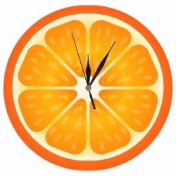 Часовник Плод