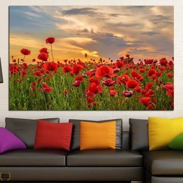 Картина пано за стена от 1 част – Поле с макове при залез – HD-970-1
