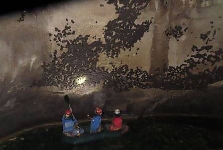 Приключи зимният мониторинг на прилепите в България