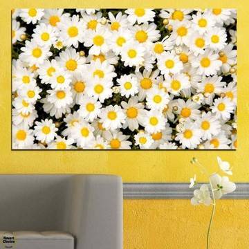Картина пано за стена от 1 част – Нежно ухание на маргаритки – HD-926-1