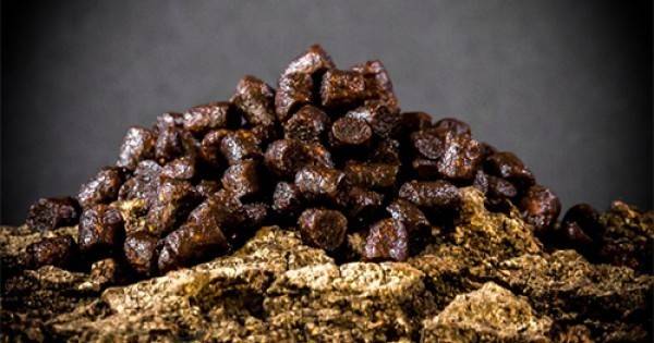 Пелети Massive Baits Bolsena Squid 8mm