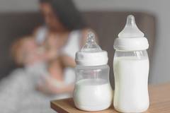 Коластрата и с какво може да ни помогне