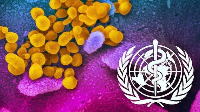 Коментар: За кого се грижи Световната здравна организация (СЗО)?