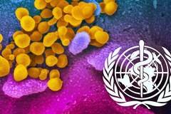 Коментар: За кого се грижи Световната здравна организация (СЗО)?