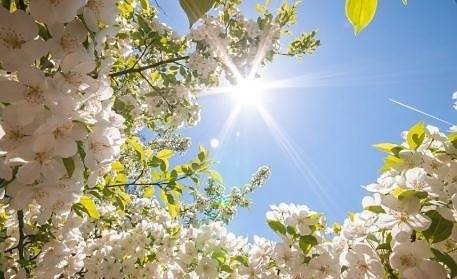 Днес слънчево с максимални температури между 19° и 24°