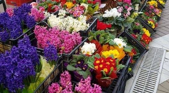 Дребният бизнес с цветята загива. Задава се недоволство от мерките