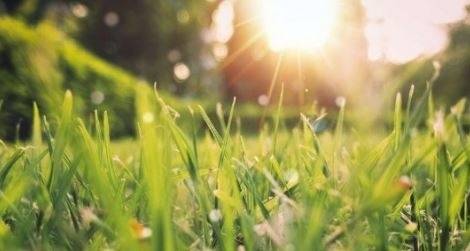 Днес слънчево с максимални температури между 14° и 19°