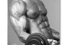 Вдигането на тежести изгаряли мазнините ?