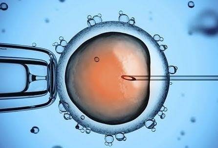 Разрешават ин витро процедурите