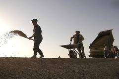 Международен ден на труда