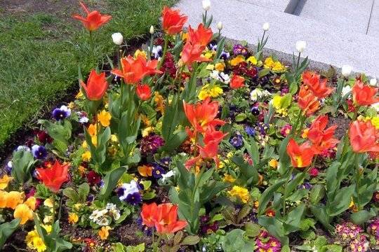 Времето през май: До 28-33 градуса и градушки