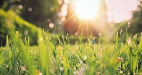 Днес слънчево с максимални температури между 15° и 20°